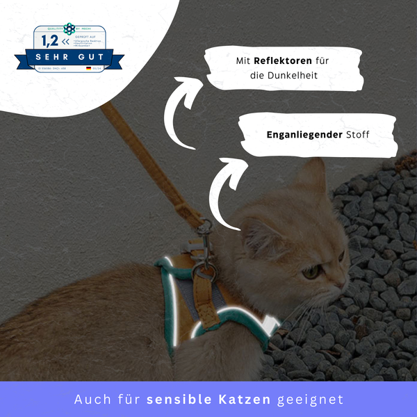 Gepolstertes Katzengeschirr inklusive Gratis Leine - Cloud Walker® von KleineKatze™