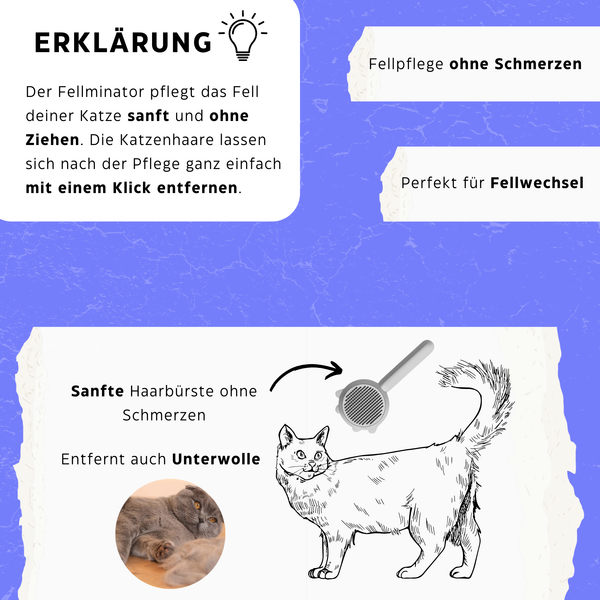 Fellwechsel-Paket - Fellwechsel leicht gemacht für deine Katze