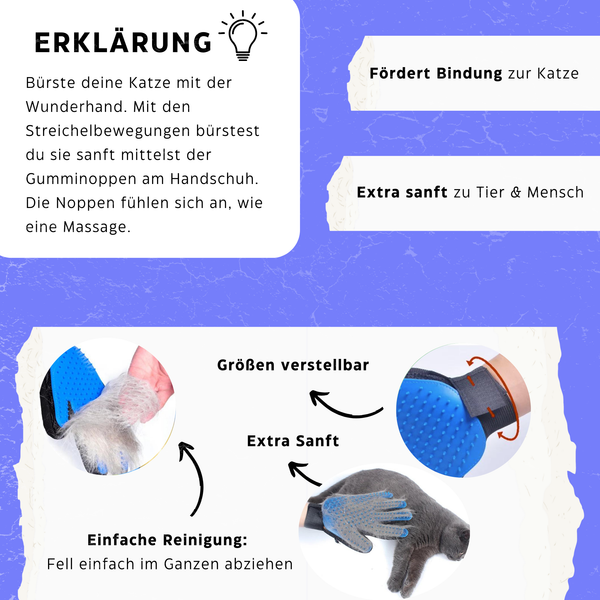 Katzenwohlfühlpaket - Das einzige was deine Fellnase im Sommer braucht