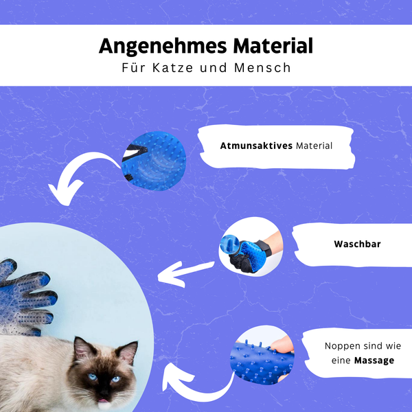 Katzenwohlfühlpaket - Das einzige was deine Fellnase im Sommer braucht