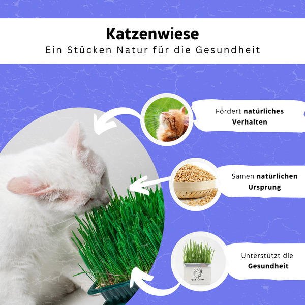 Katzengrass für die Verdauung - Katzenwiese ® von KleineKatze™