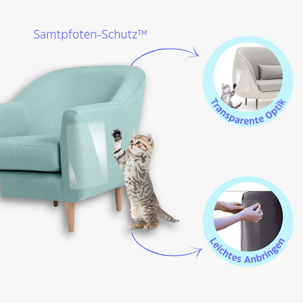 Transparenter Kratzschutz für Katzen - Samtpfoten Schutz® von KleineKatze™