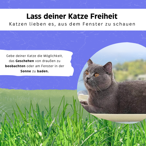 Katzenhängematte - Schnurrschaukel® von KleineKatze™