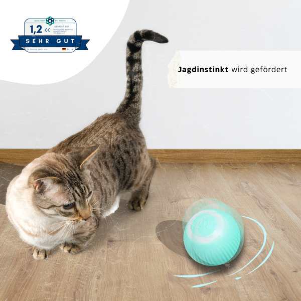 Elektrischer Power Ball - Wirbelwind® von KleineKatze™